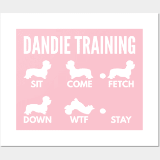 Dandie Dinmont Terrier Dog Training Dandie Dog Tricks Posters and Art